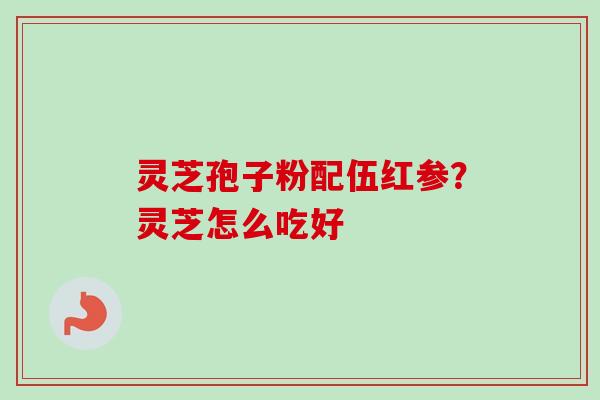 灵芝孢子粉配伍红参？灵芝怎么吃好
