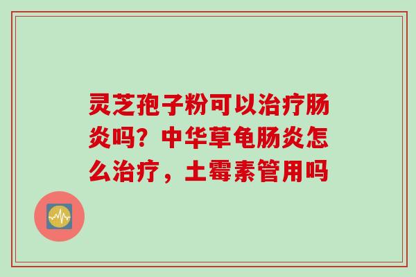 灵芝孢子粉可以治疗肠炎吗？中华草龟肠炎怎么治疗，土霉素管用吗