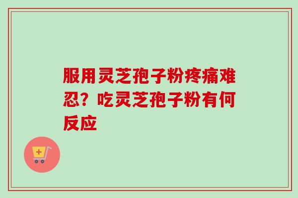 服用灵芝孢子粉疼痛难忍？吃灵芝孢子粉有何反应