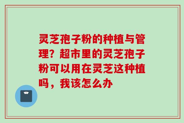 灵芝孢子粉的种植与管理？超市里的灵芝孢子粉可以用在灵芝这种植吗，我该怎么办