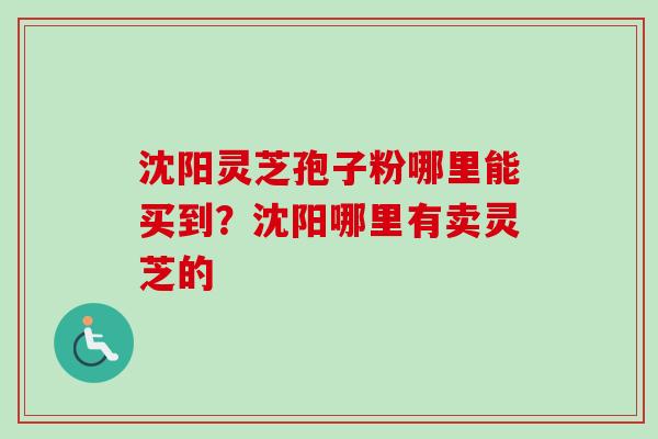 沈阳灵芝孢子粉哪里能买到？沈阳哪里有卖灵芝的