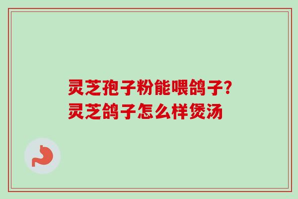 灵芝孢子粉能喂鸽子？灵芝鸽子怎么样煲汤