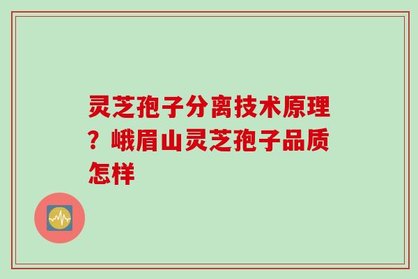 灵芝孢子分离技术原理？峨眉山灵芝孢子品质怎样