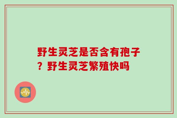野生灵芝是否含有孢子?野生灵芝繁殖快吗