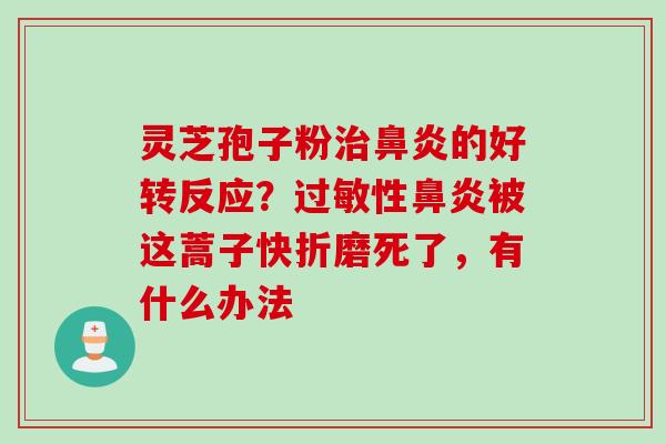 灵芝孢子粉治鼻炎的好转反应？过敏性鼻炎被这蒿子快折磨死了，有什么办法