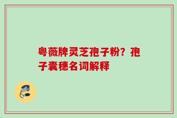 粤薇牌灵芝孢子粉？孢子囊穗名词解释