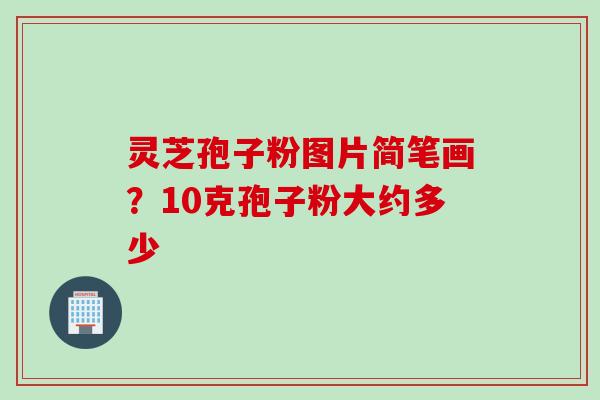 灵芝孢子粉图片简笔画？10克孢子粉大约多少