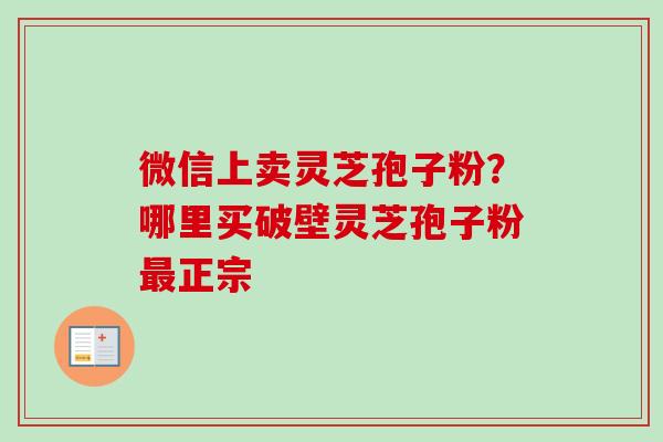 微信上卖灵芝孢子粉？哪里买破壁灵芝孢子粉最正宗