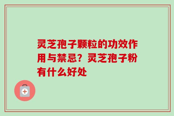灵芝孢子颗粒的功效作用与禁忌？灵芝孢子粉有什么好处