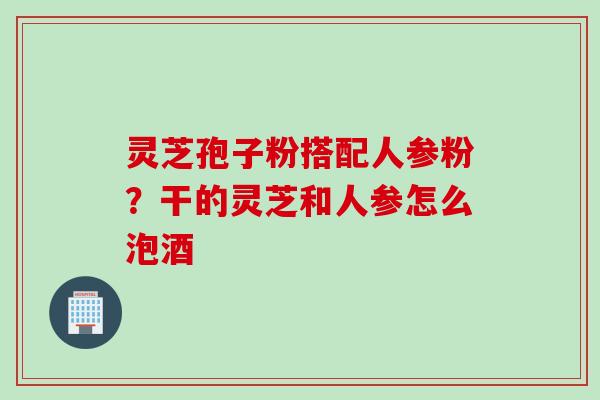 灵芝孢子粉搭配人参粉？干的灵芝和人参怎么泡酒