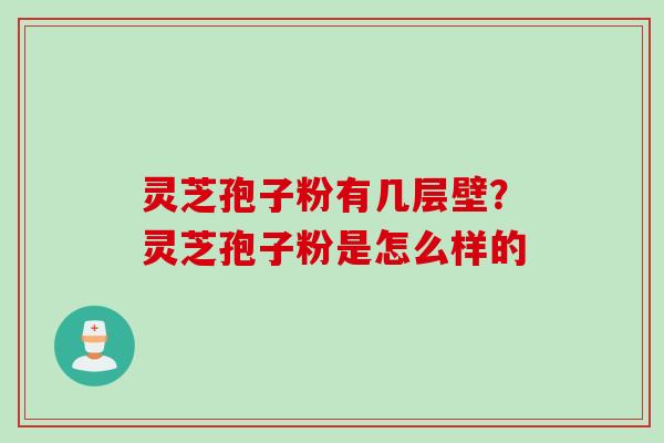 灵芝孢子粉有几层壁？灵芝孢子粉是怎么样的