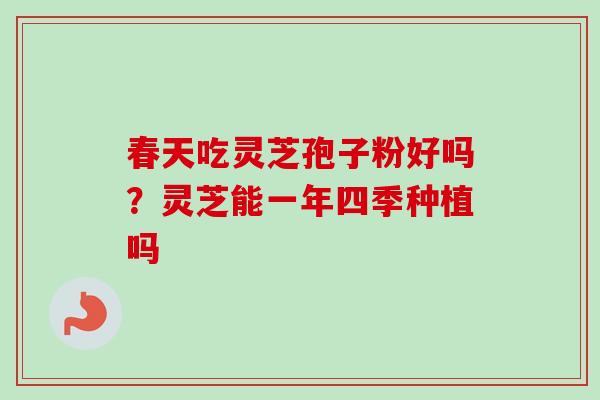 春天吃灵芝孢子粉好吗？灵芝能一年四季种植吗