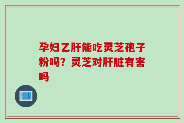 孕妇乙肝能吃灵芝孢子粉吗？灵芝对肝脏有害吗