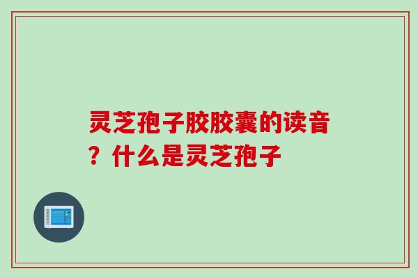 灵芝孢子胶胶囊的读音？什么是灵芝孢子