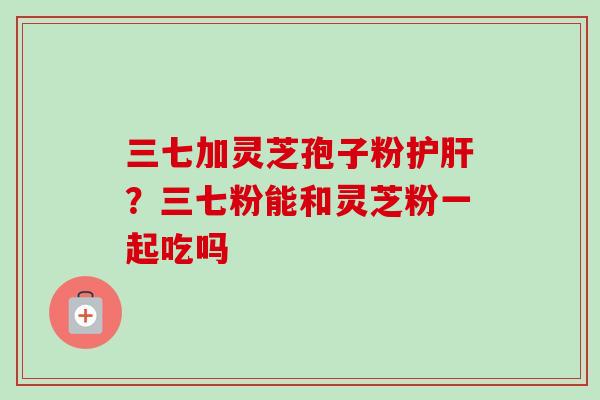 三七加灵芝孢子粉护肝？三七粉能和灵芝粉一起吃吗
