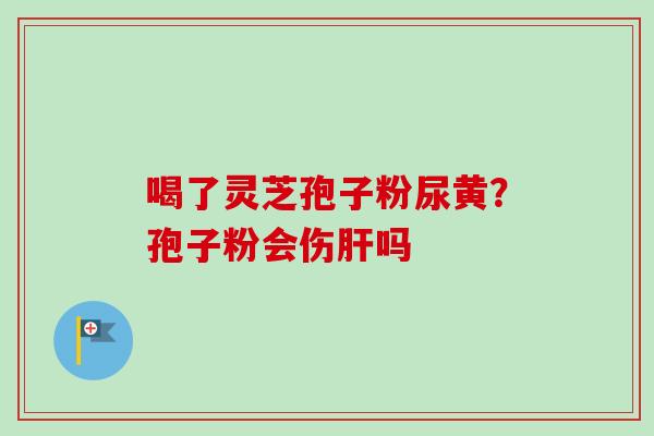 喝了灵芝孢子粉尿黄？孢子粉会伤肝吗