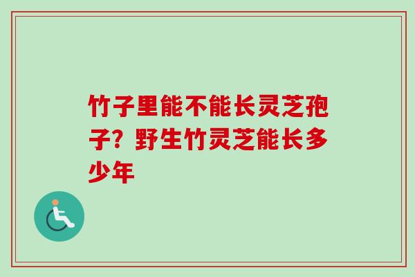 竹子里能不能长灵芝孢子？野生竹灵芝能长多少年