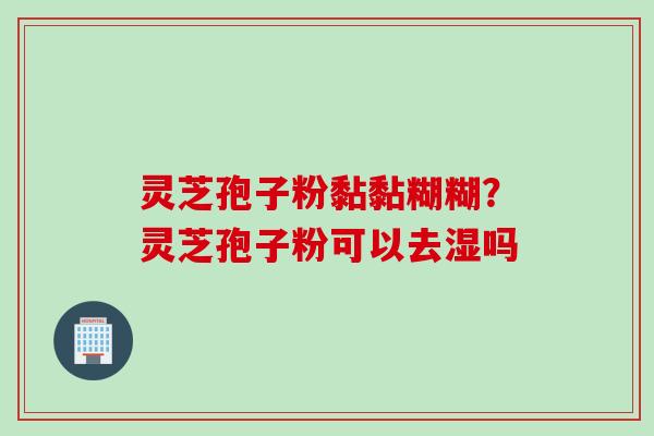 灵芝孢子粉黏黏糊糊？灵芝孢子粉可以去湿吗