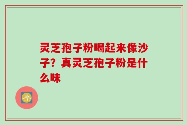 灵芝孢子粉喝起来像沙子？真灵芝孢子粉是什么味
