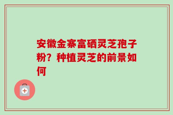 安徽金寨富硒灵芝孢子粉？种植灵芝的前景如何