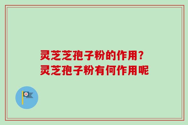 灵芝芝孢子粉的作用？灵芝孢子粉有何作用呢