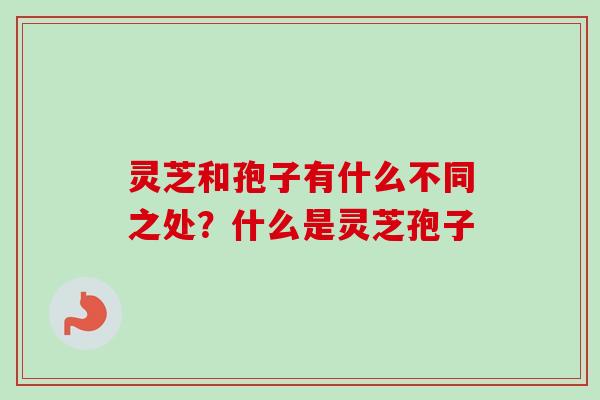灵芝和孢子有什么不同之处？什么是灵芝孢子