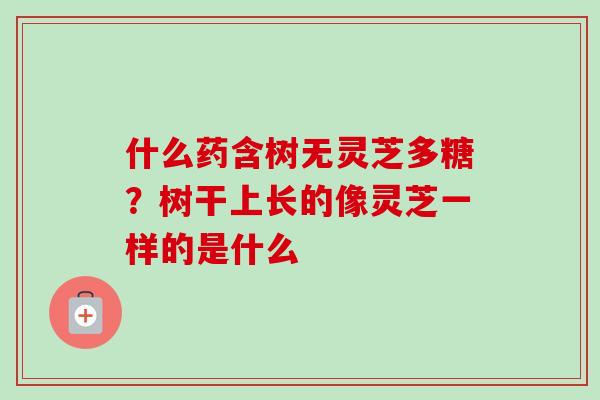 什么药含树无灵芝多糖？树干上长的像灵芝一样的是什么