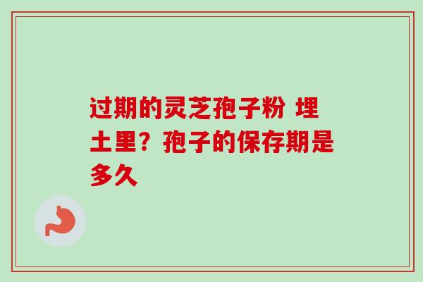过期的灵芝孢子粉 埋土里？孢子的保存期是多久
