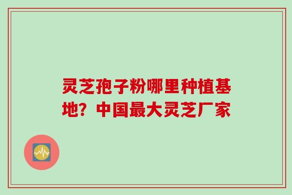 灵芝孢子粉哪里种植基地？中国最大灵芝厂家