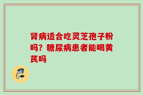 肾病适合吃灵芝孢子粉吗？糖尿病患者能喝黄芪吗