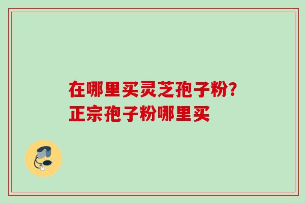 在哪里买灵芝孢子粉？正宗孢子粉哪里买