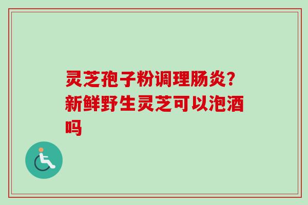 灵芝孢子粉调理肠炎？新鲜野生灵芝可以泡酒吗
