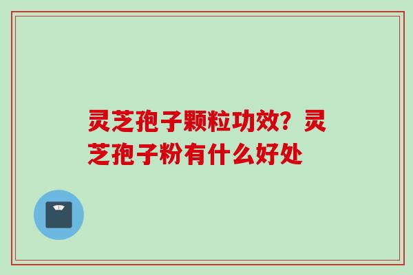 灵芝孢子颗粒功效？灵芝孢子粉有什么好处