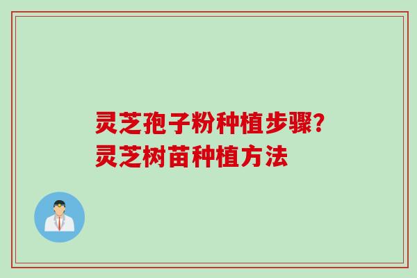 灵芝孢子粉种植步骤？灵芝树苗种植方法