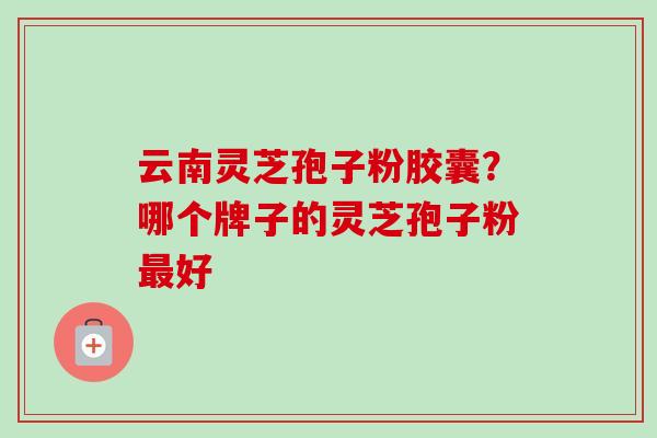 云南灵芝孢子粉胶囊？哪个牌子的灵芝孢子粉最好