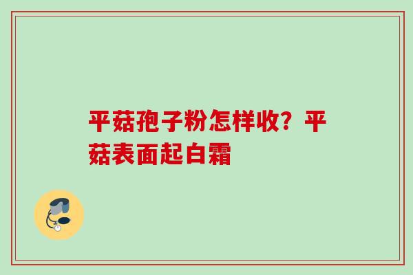 平菇孢子粉怎样收?平菇表面起白霜