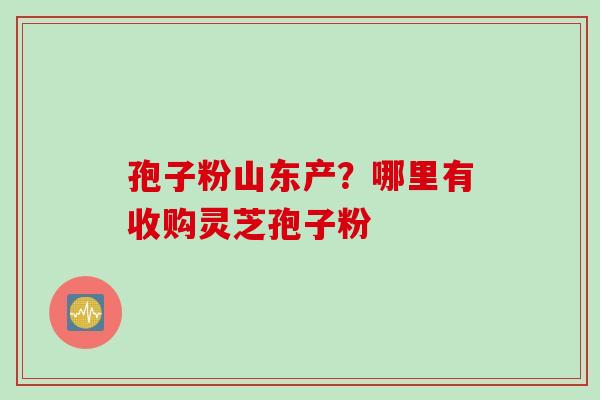 孢子粉山东产？哪里有收购灵芝孢子粉