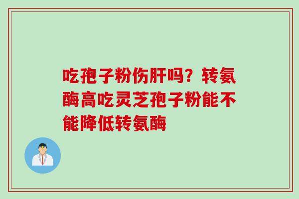 吃孢子粉伤肝吗？转氨酶高吃灵芝孢子粉能不能降低转氨酶