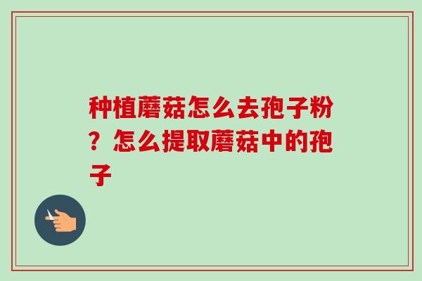 种植蘑菇怎么去孢子粉？怎么提取蘑菇中的孢子