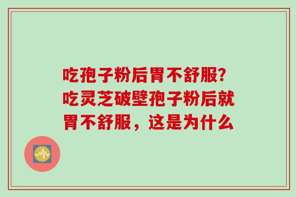 吃孢子粉后胃不舒服？吃灵芝破壁孢子粉后就胃不舒服，这是为什么