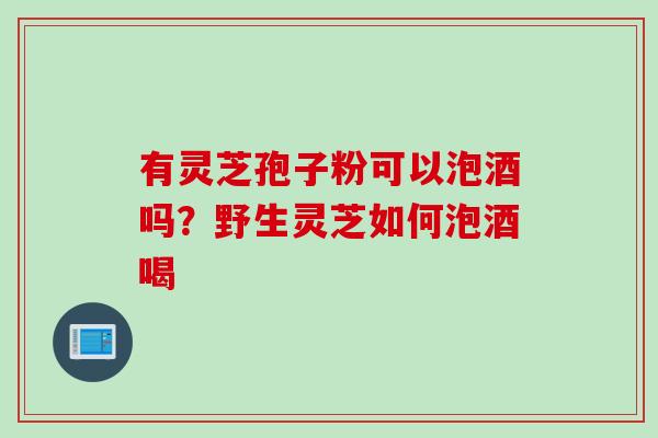 有灵芝孢子粉可以泡酒吗？野生灵芝如何泡酒喝
