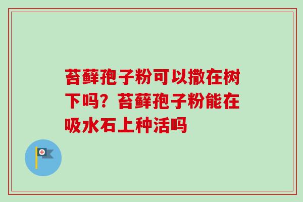 苔藓孢子粉可以撒在树下吗？苔藓孢子粉能在吸水石上种活吗