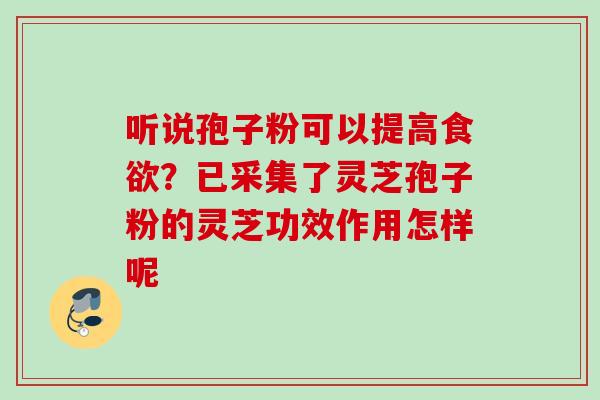 听说孢子粉可以提高食欲？已采集了灵芝孢子粉的灵芝功效作用怎样呢