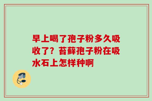 早上喝了孢子粉多久吸收了？苔藓孢子粉在吸水石上怎样种啊