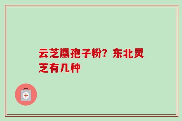 云芝凰孢子粉？东北灵芝有几种