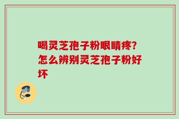喝灵芝孢子粉眼睛疼？怎么辨别灵芝孢子粉好坏