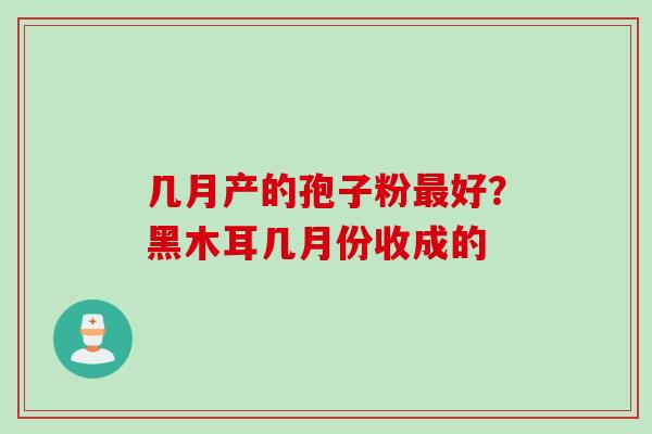 几月产的孢子粉最好？黑木耳几月份收成的