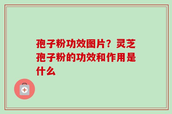 孢子粉功效图片？灵芝孢子粉的功效和作用是什么