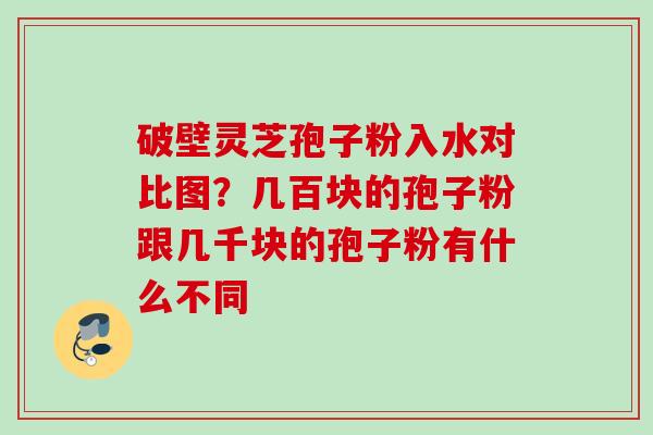破壁灵芝孢子粉入水对比图?几百块的孢子粉跟几千块的孢子粉有什么不同