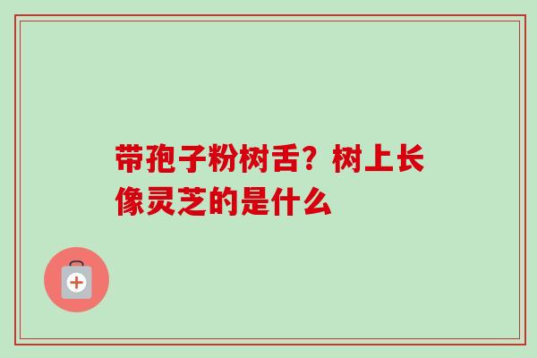 带孢子粉树舌？树上长像灵芝的是什么